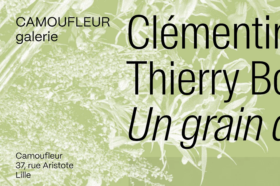 Un grain de grenade / Image No. 2