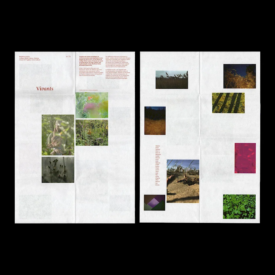 Photosensibles / Image No. 4
