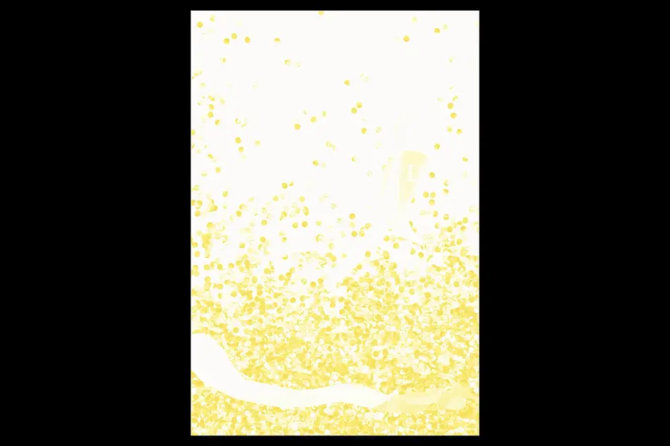 Aperçu avant impression / Vidéo No. 1